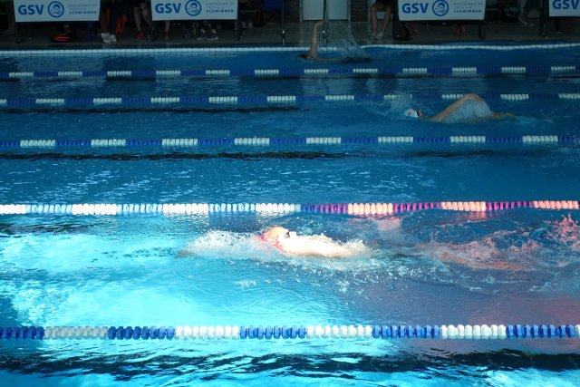 2019 Frühjahrsmeeting